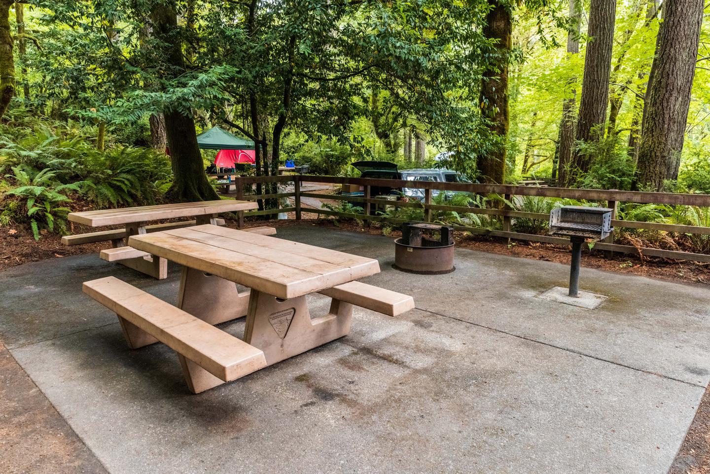 Picnic tables, fire pit, and BBQ grill.