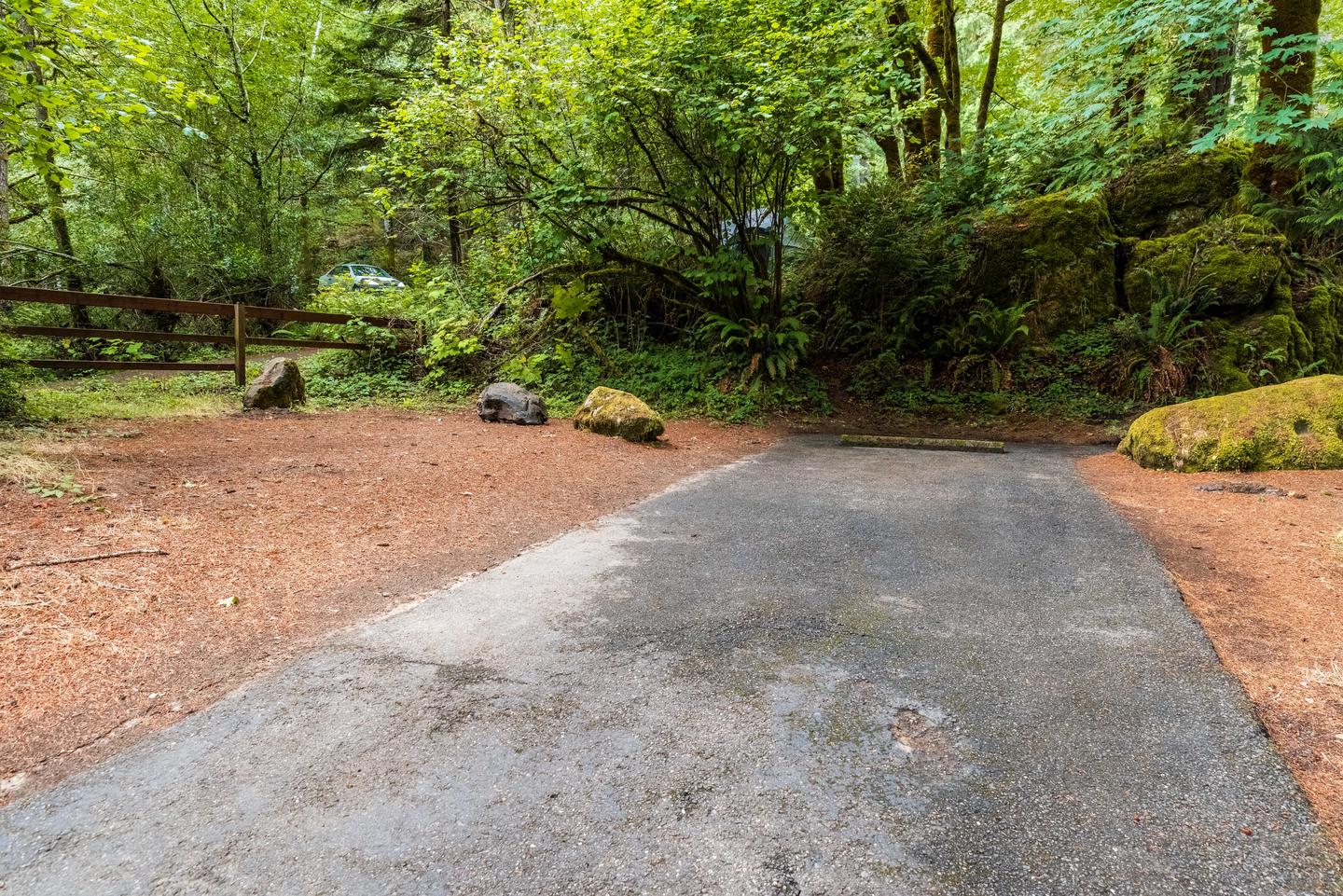 Campsite 49 driveway and secondary tent pad.