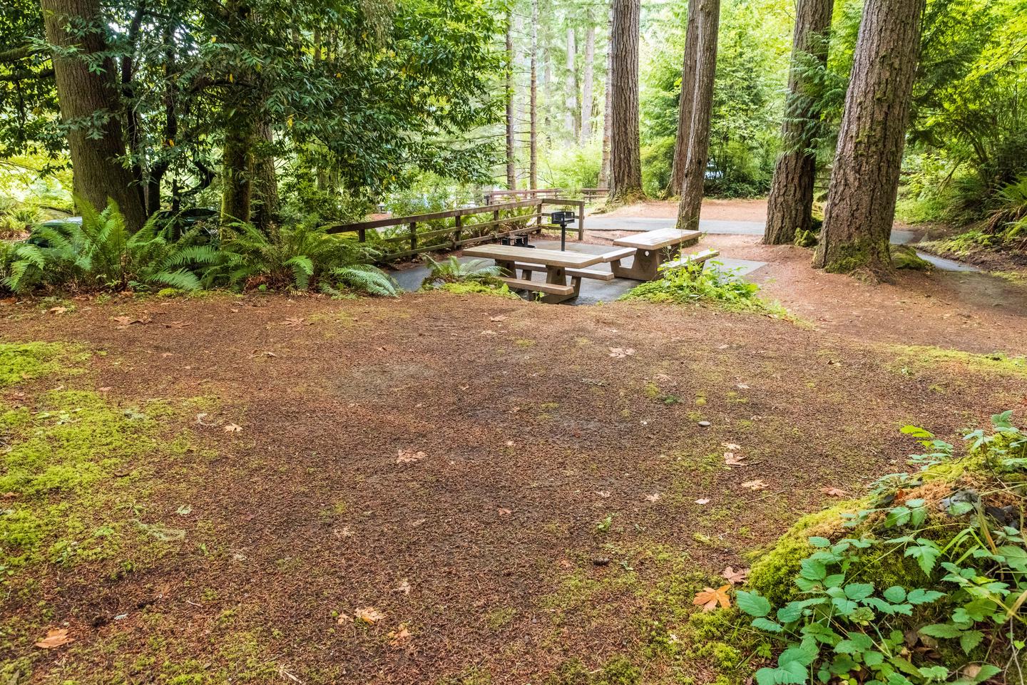 Tent pad: 17x12 ft (please note tent pad is on top of a small hill)