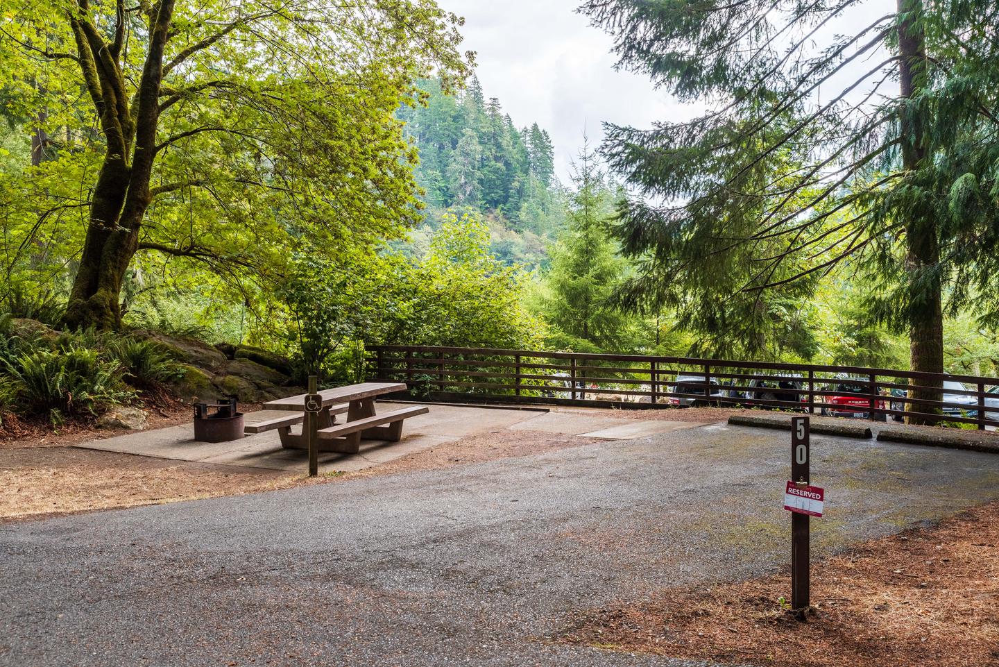 Campsite #50: Barrier free (accessible ) site with picnic table, fire ring, BBQ grill.