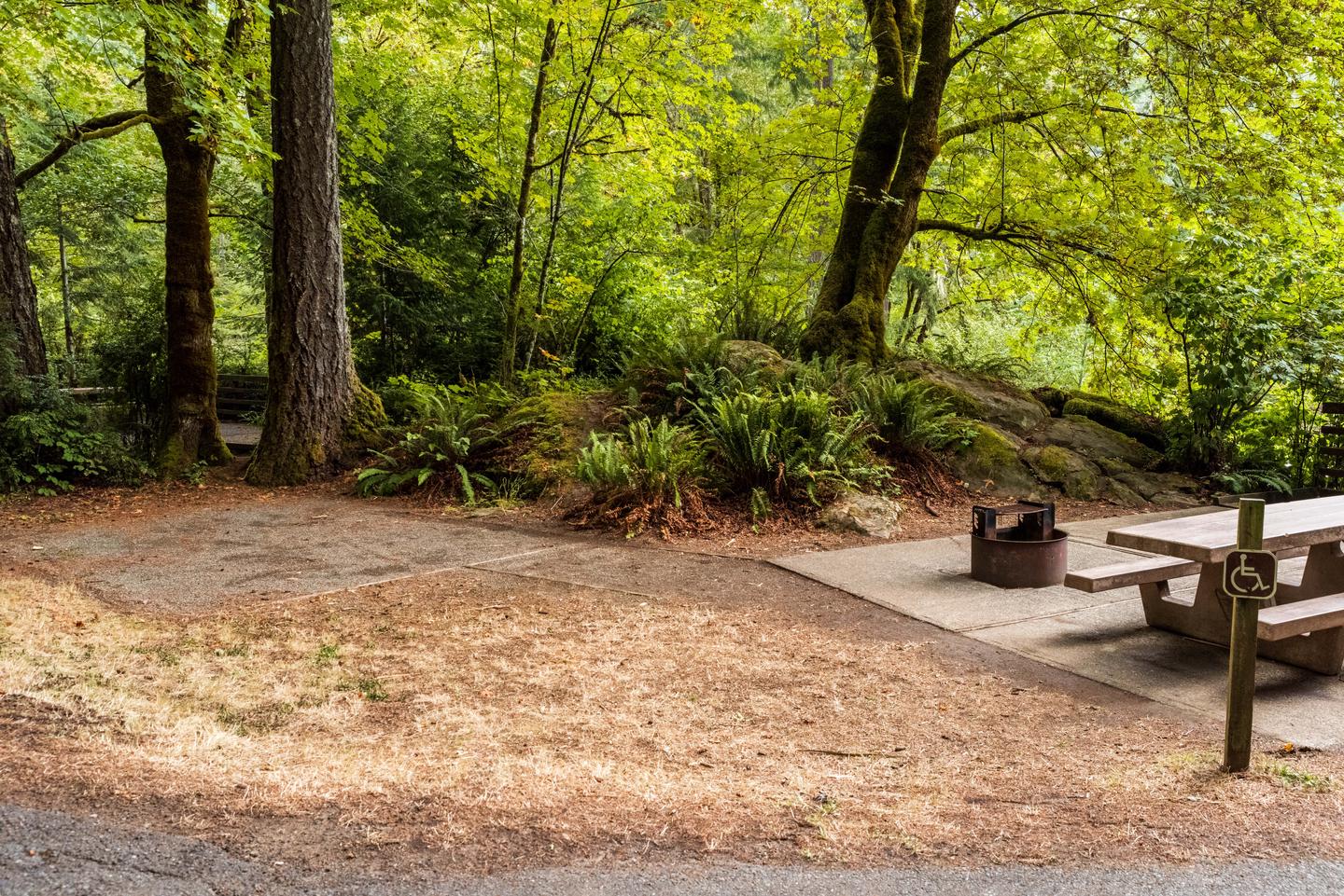 Barrier free (accessible ) site with picnic table, fire ring, BBQ grill, and tent pad.