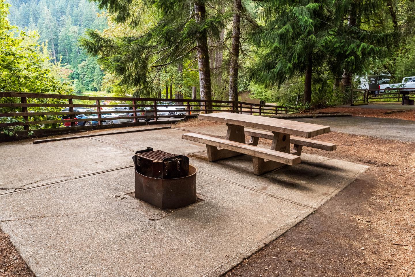 Picnic table and fire pit with walkway to day use area.