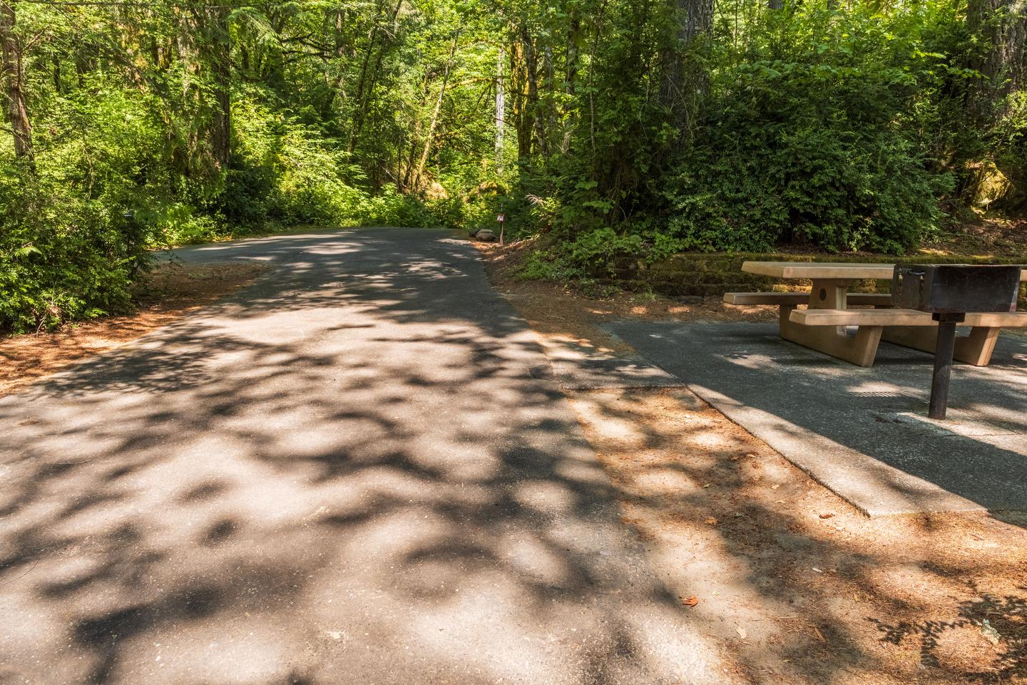 Campsite 53 driveway (42 ft) and picnic table.