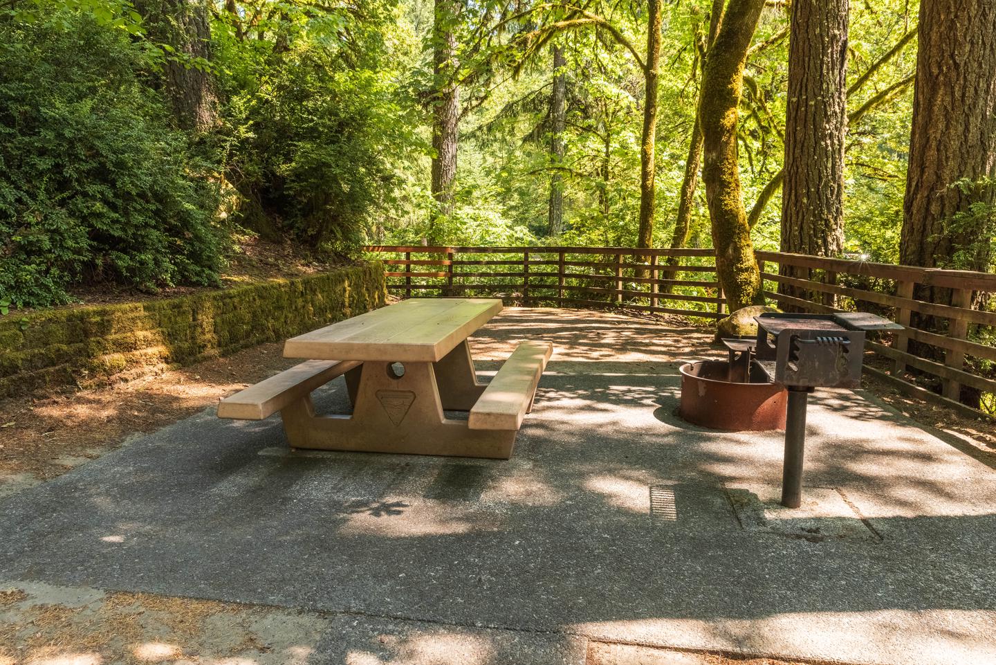 Picnic table, BBQ grill, and fire pit.