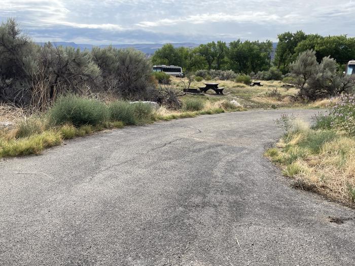 A photo of Site 11 of Loop A at GREEN RIVER CAMPGROUND with Picnic Table, Fire Pit