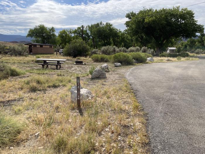 A photo of Site 14 of Loop A at GREEN RIVER CAMPGROUND with Picnic Table, Fire Pit