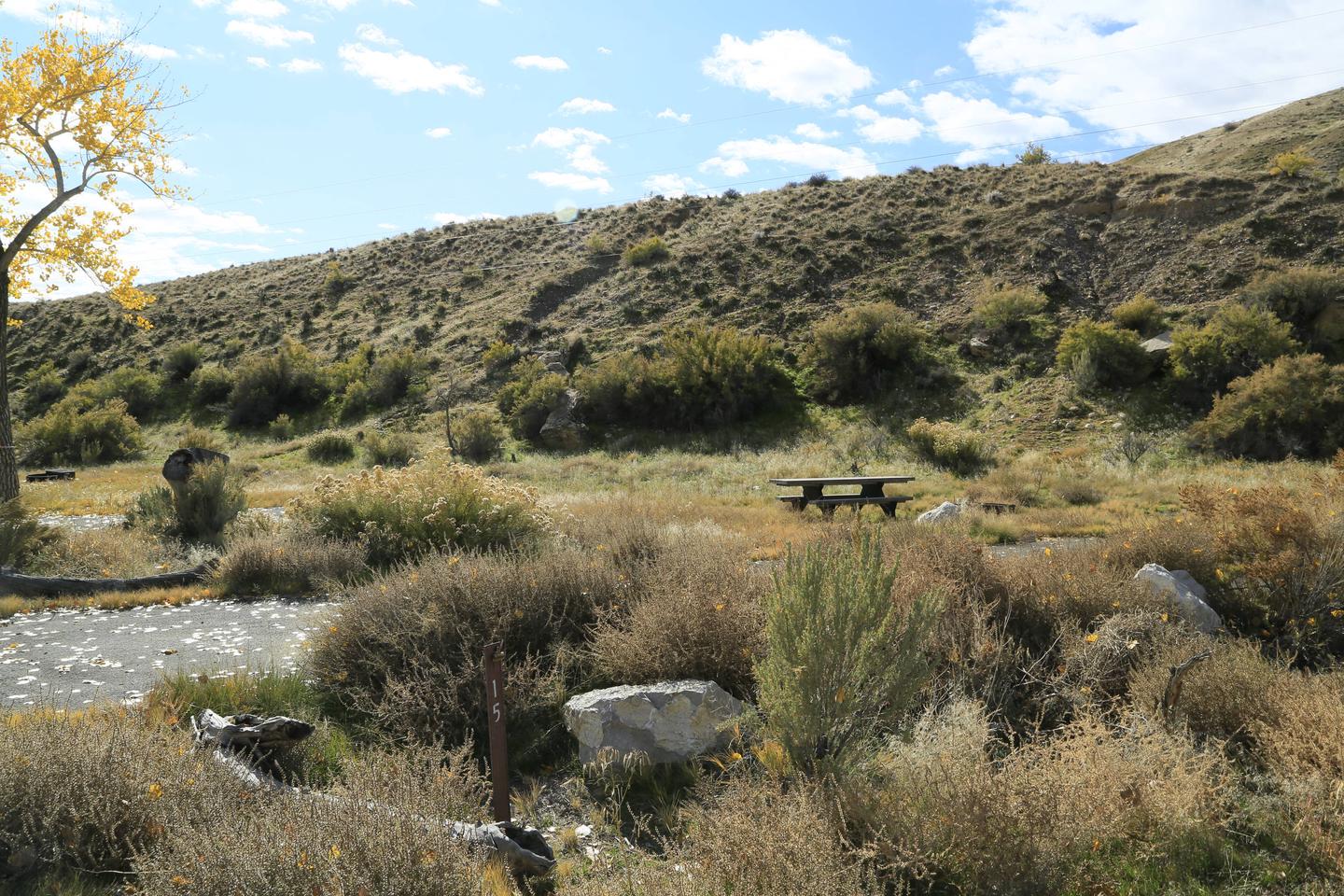 A photo of Site 15 of Loop A at GREEN RIVER CAMPGROUND