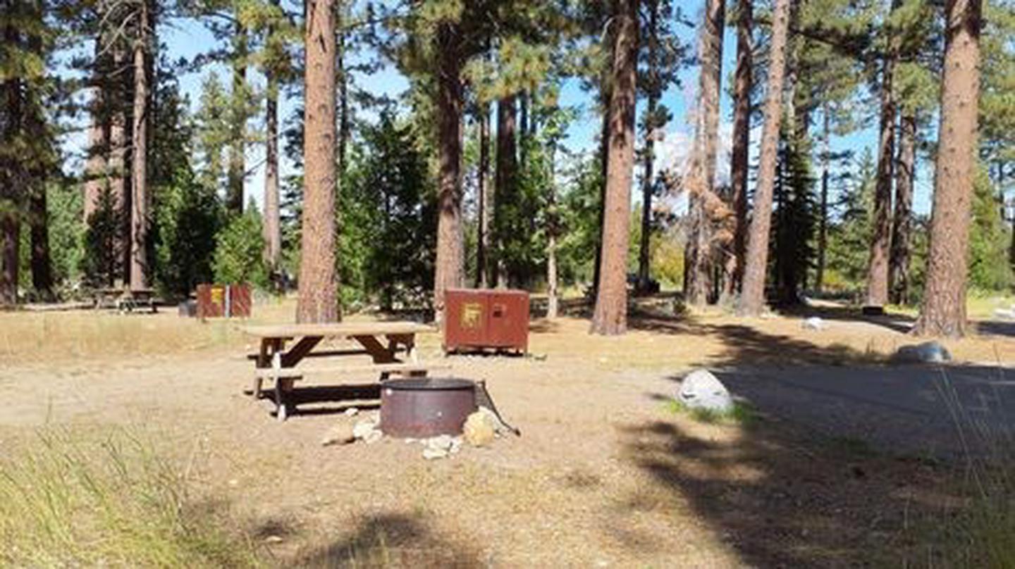 Site 2, Badgers Den Campground - Recreation.gov