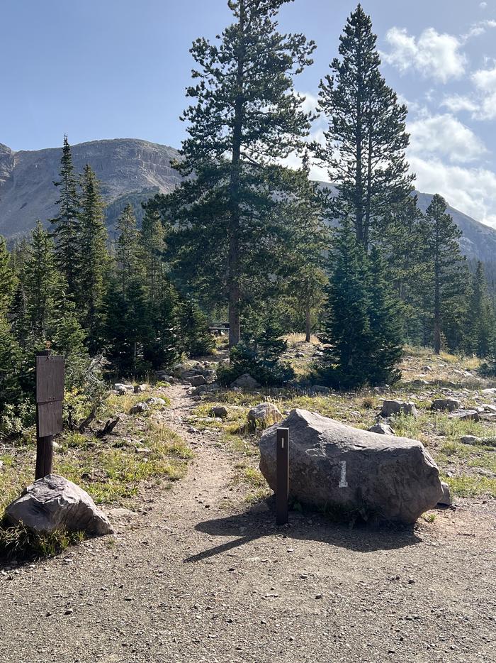 A photo of Site 1 of Loop BUTTR at Butterfly Campground with No Amenities Shown