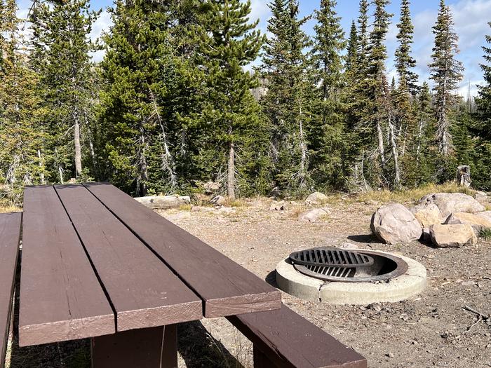 A photo of Site 1 of Loop BUTTR at Butterfly Campground with Picnic Table, Fire Pit