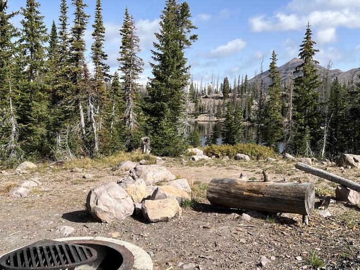 A photo of Site 1 of Loop BUTTR at Butterfly Campground with Waterfront