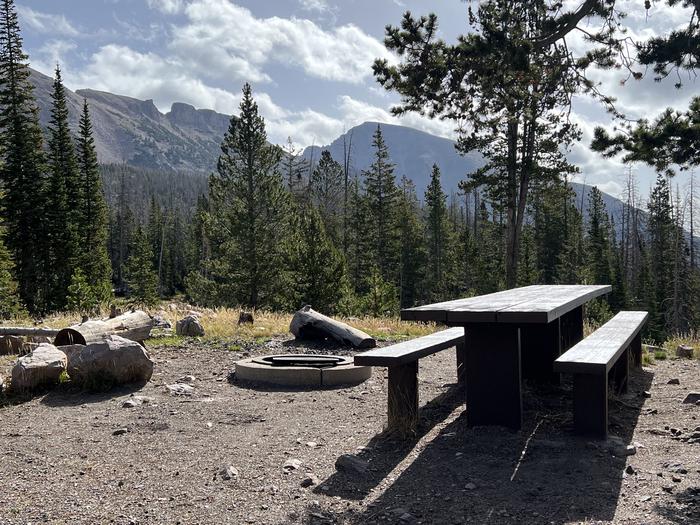 A photo of Site 1 of Loop BUTTR at Butterfly Campground with Picnic Table, Fire Pit