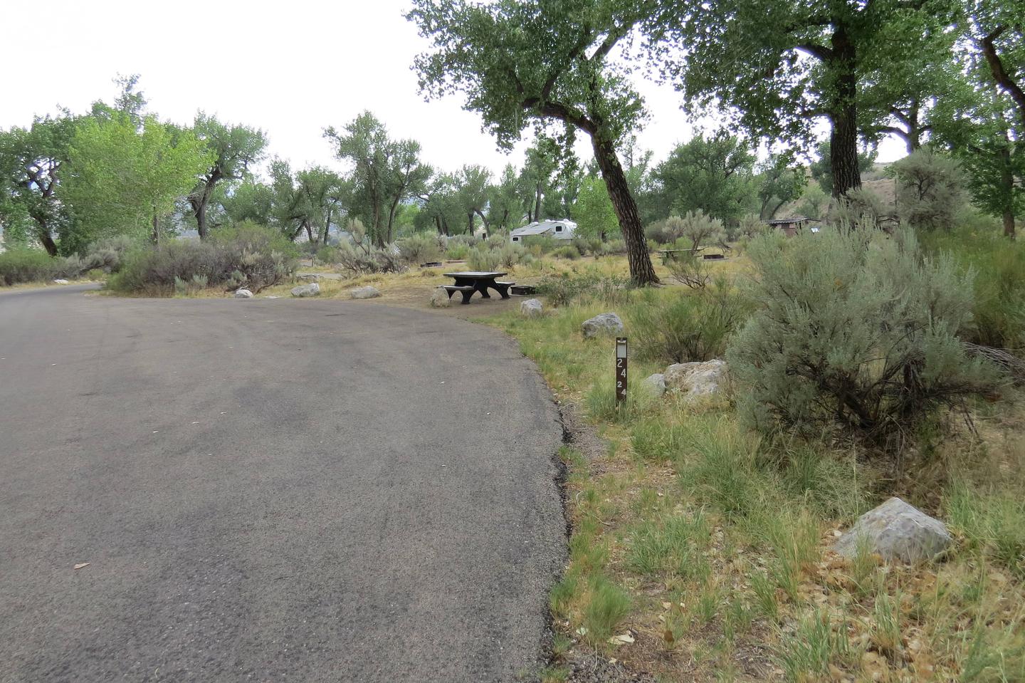 A photo of Site 24 of Loop B at GREEN RIVER CAMPGROUND 