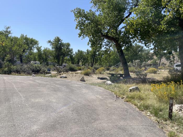 A photo of Site 24 of Loop B at GREEN RIVER CAMPGROUND with Picnic Table