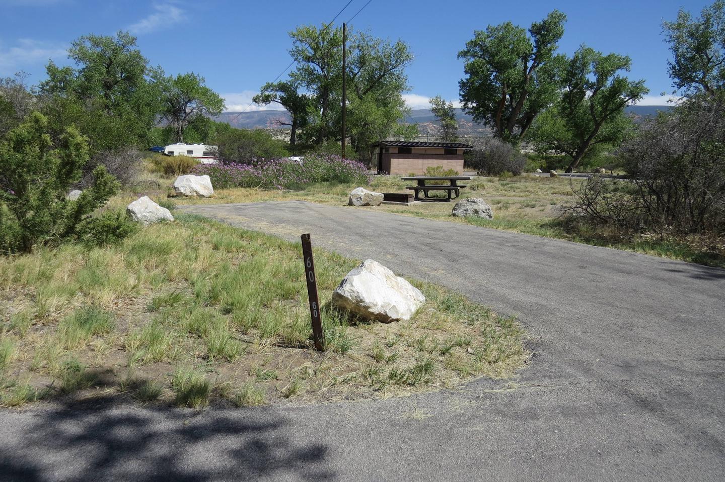 A photo of Site 60 of Loop C at GREEN RIVER CAMPGROUND 