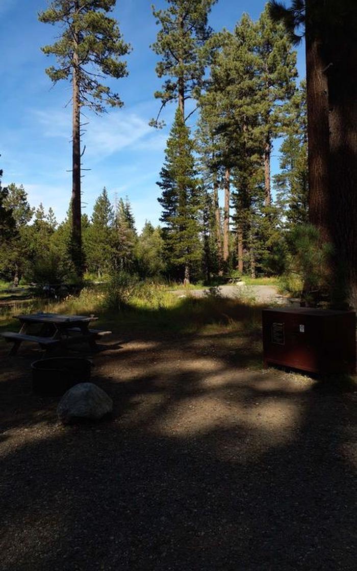 Site 37, Badgers Den Campground - Recreation.gov