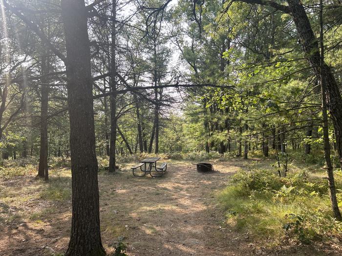 A photo of Site 26 of Loop Upper at Kneff Lake Campground with Picnic Table, Fire Pit