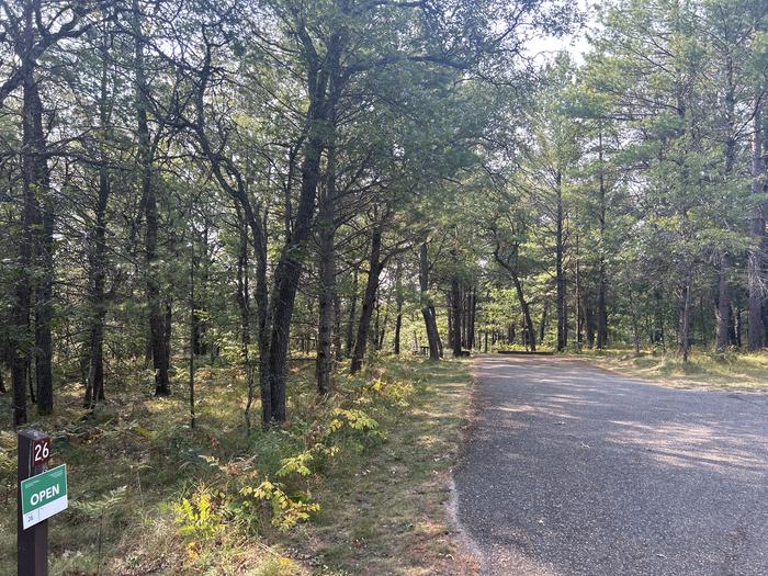 A photo of Site 26 of Loop Upper at Kneff Lake Campground with Picnic Table, Fire Pit