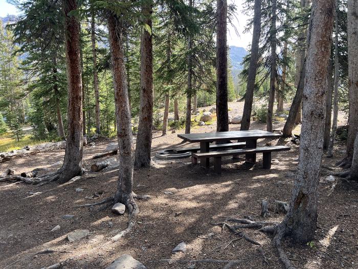 A photo of Site 4 of Loop BUTTR at Butterfly Campground with Picnic Table, Fire Pit