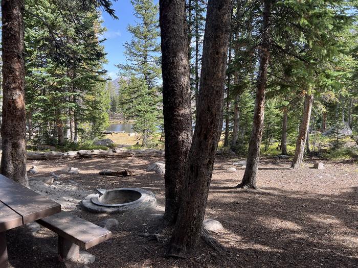 A photo of Site 4 of Loop BUTTR at Butterfly Campground with Picnic Table, Fire Pit