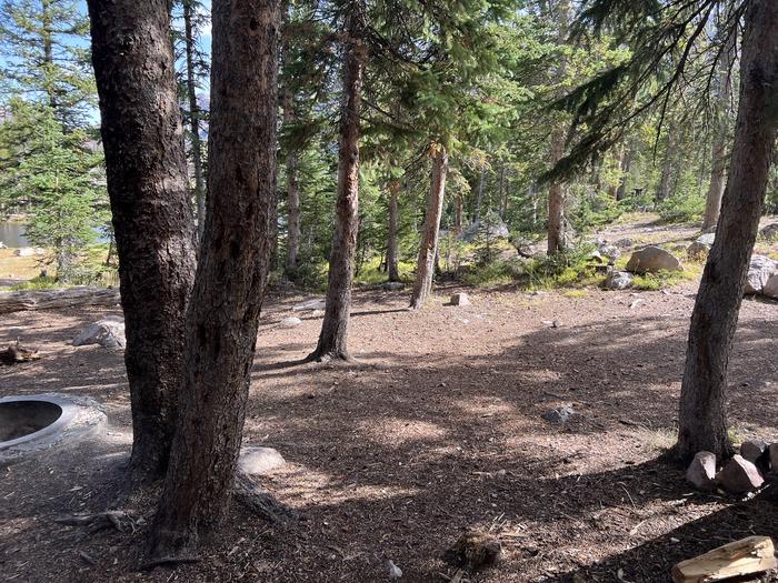 A photo of Site 4 of Loop BUTTR at Butterfly Campground with Fire Pit