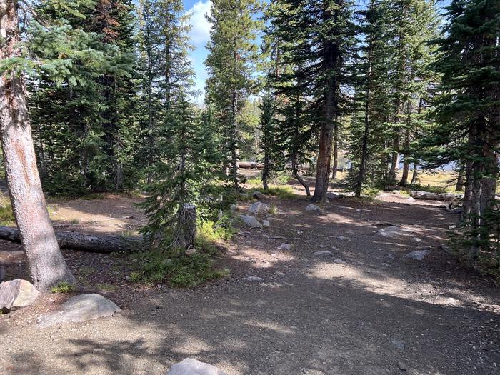 A photo of Site 4 of Loop BUTTR at Butterfly Campground with No Amenities Shown