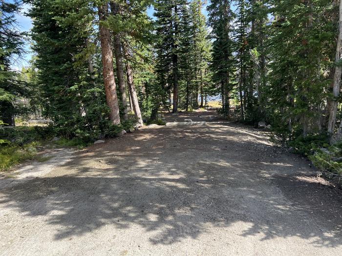 A photo of Site 4 of Loop BUTTR at Butterfly Campground with No Amenities Shown