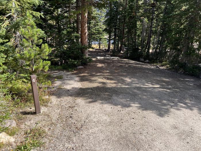 A photo of Site 4 of Loop BUTTR at Butterfly Campground with No Amenities Shown