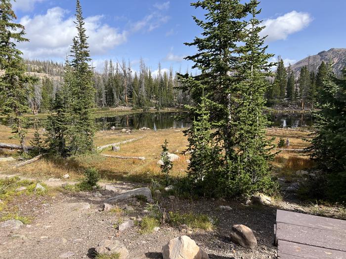 A photo of Site 6 of Loop BUTTR at Butterfly Campground with Waterfront