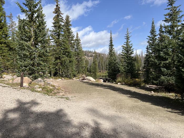 A photo of Site 6 of Loop BUTTR at Butterfly Campground with No Amenities Shown