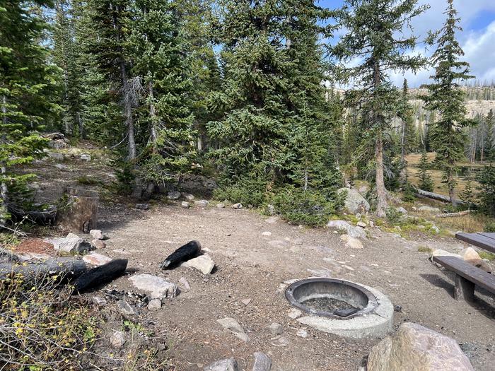 A photo of Site 6 of Loop BUTTR at Butterfly Campground with Picnic Table, Fire Pit