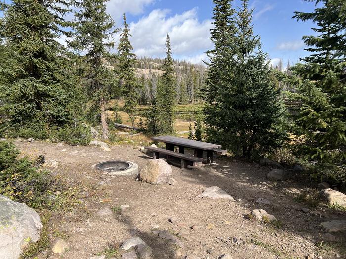 A photo of Site 6 of Loop BUTTR at Butterfly Campground with Picnic Table, Fire Pit