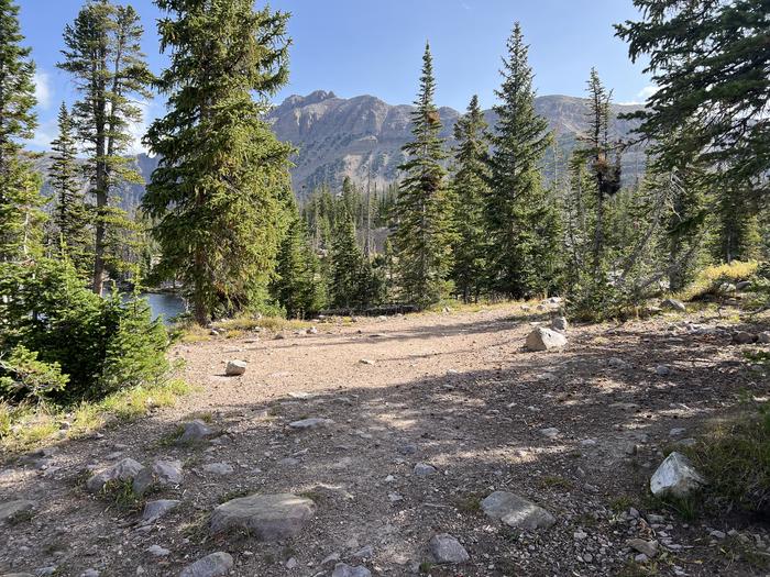 A photo of Site 2 of Loop BUTTR at Butterfly Campground with No Amenities Shown