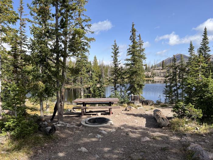 A photo of Site 2 of Loop BUTTR at Butterfly Campground with Picnic Table, Fire Pit