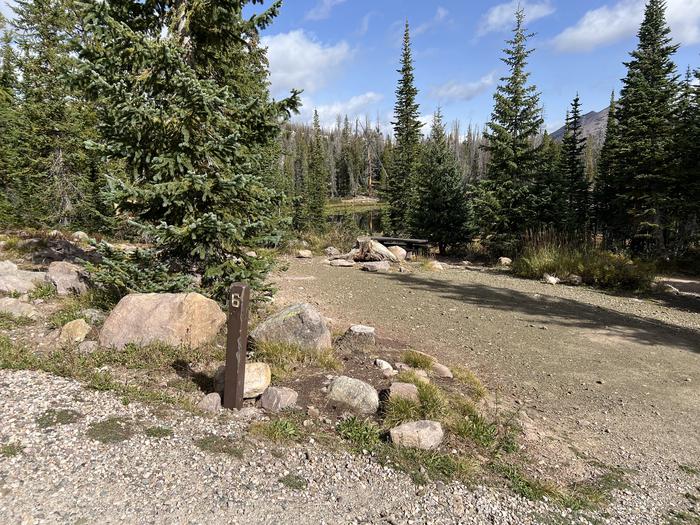 A photo of Site 6 of Loop BUTTR at Butterfly Campground with No Amenities Shown