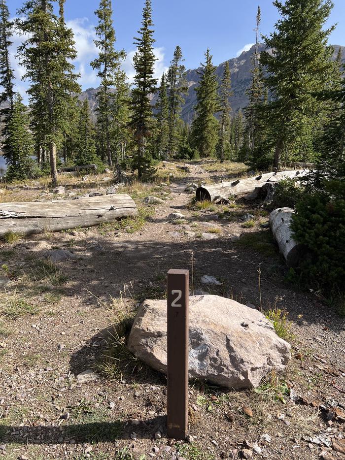 A photo of Site 2 of Loop BUTTR at Butterfly Campground with No Amenities Shown