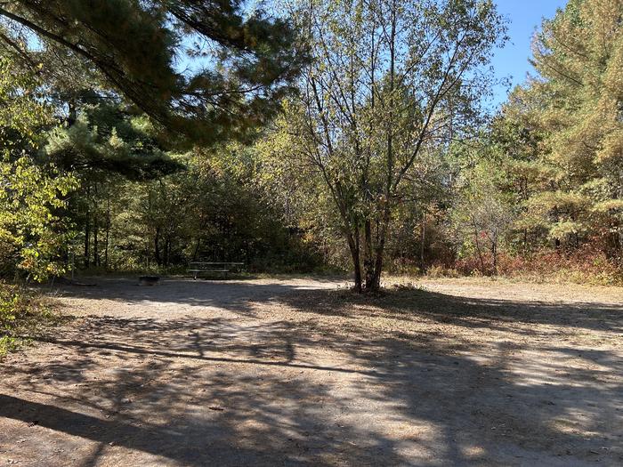 Campfire ring, picnic table, and lantern post in campsite 5