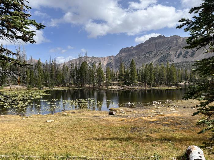 A photo of facility Butterfly Campground with Waterfront