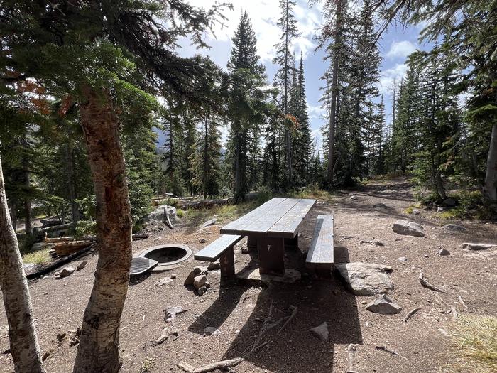 A photo of Site 7 of Loop BUTTR at Butterfly Campground with Picnic Table, Fire Pit