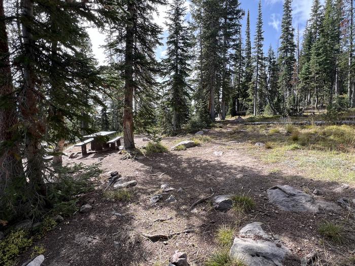 A photo of Site 7 of Loop BUTTR at Butterfly Campground with Picnic Table