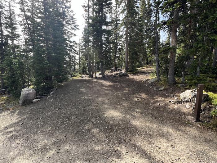 A photo of Site 7 of Loop BUTTR at Butterfly Campground with No Amenities Shown