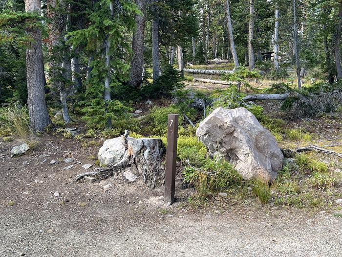 A photo of Site 7 of Loop BUTTR at Butterfly Campground with No Amenities Shown