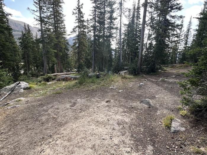 A photo of Site 7 of Loop BUTTR at Butterfly Campground with No Amenities Shown