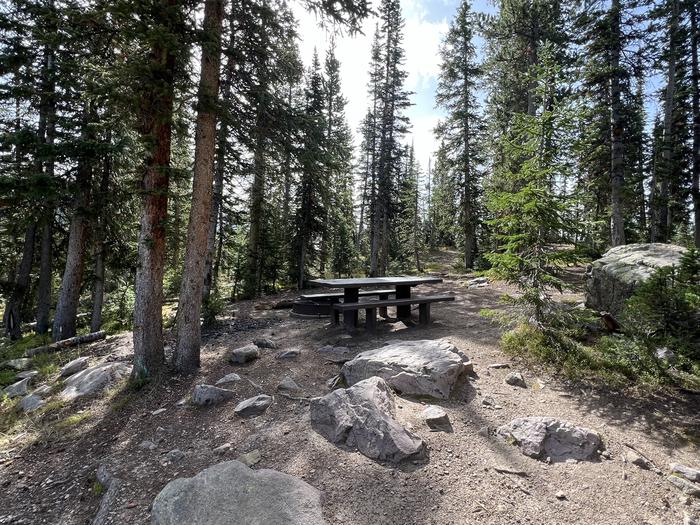 A photo of Site 8 of Loop BUTTR at Butterfly Campground with Picnic Table, Fire Pit