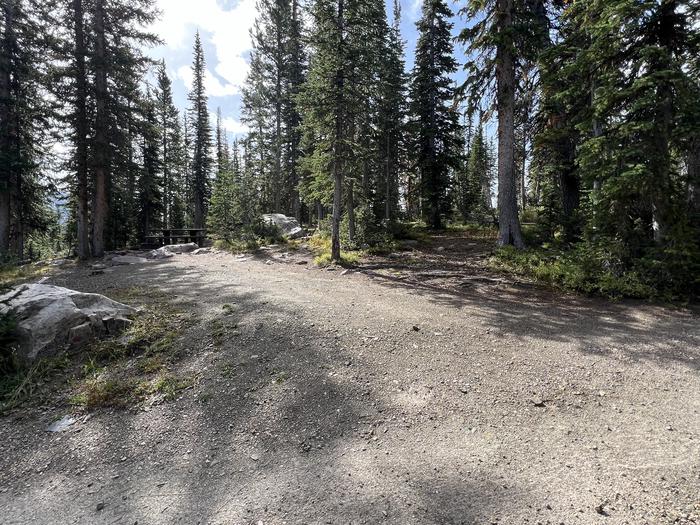 A photo of Site 8 of Loop BUTTR at Butterfly Campground with No Amenities Shown