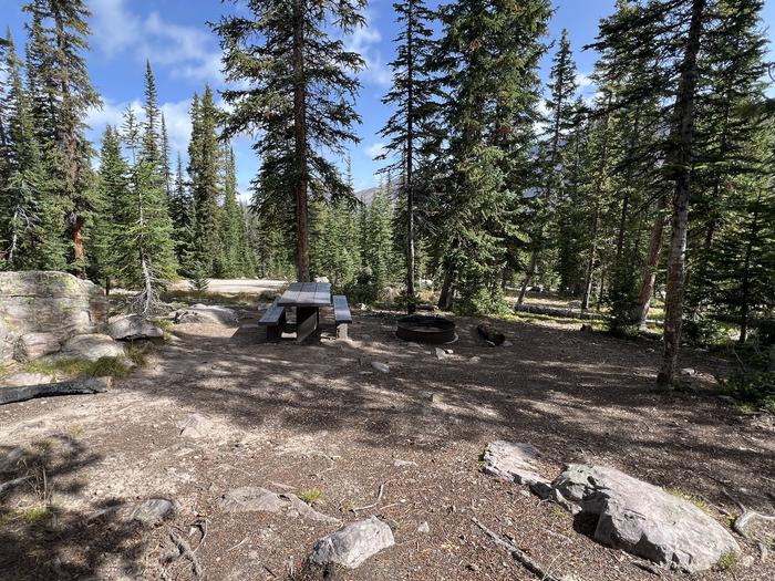 A photo of Site 8 of Loop BUTTR at Butterfly Campground with Picnic Table, Fire Pit