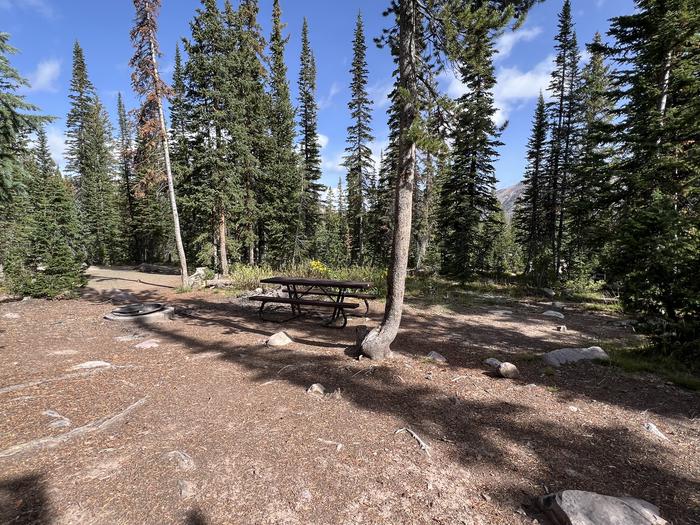 A photo of Site 9 of Loop BUTTR at Butterfly Campground with Picnic Table, Fire Pit