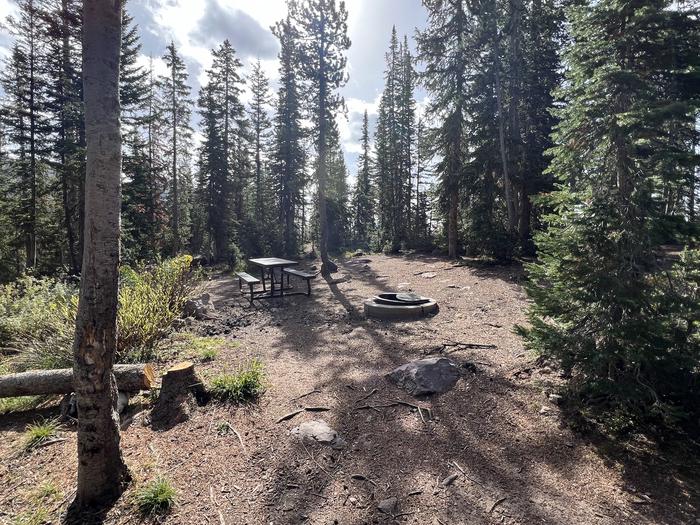 A photo of Site 9 of Loop BUTTR at Butterfly Campground with Picnic Table, Fire Pit