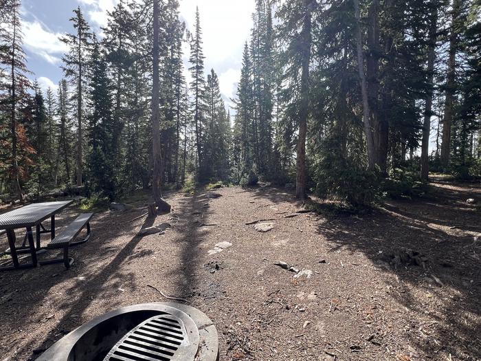 A photo of Site 9 of Loop BUTTR at Butterfly Campground with Picnic Table, Fire Pit