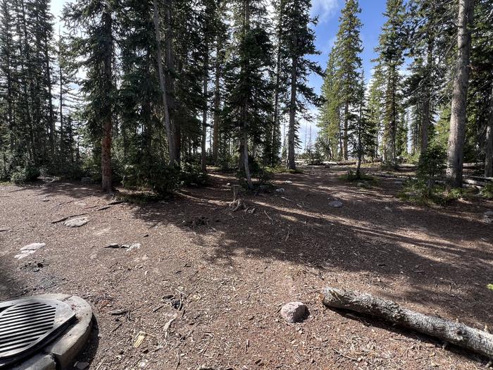 A photo of Site 9 of Loop BUTTR at Butterfly Campground with Fire Pit